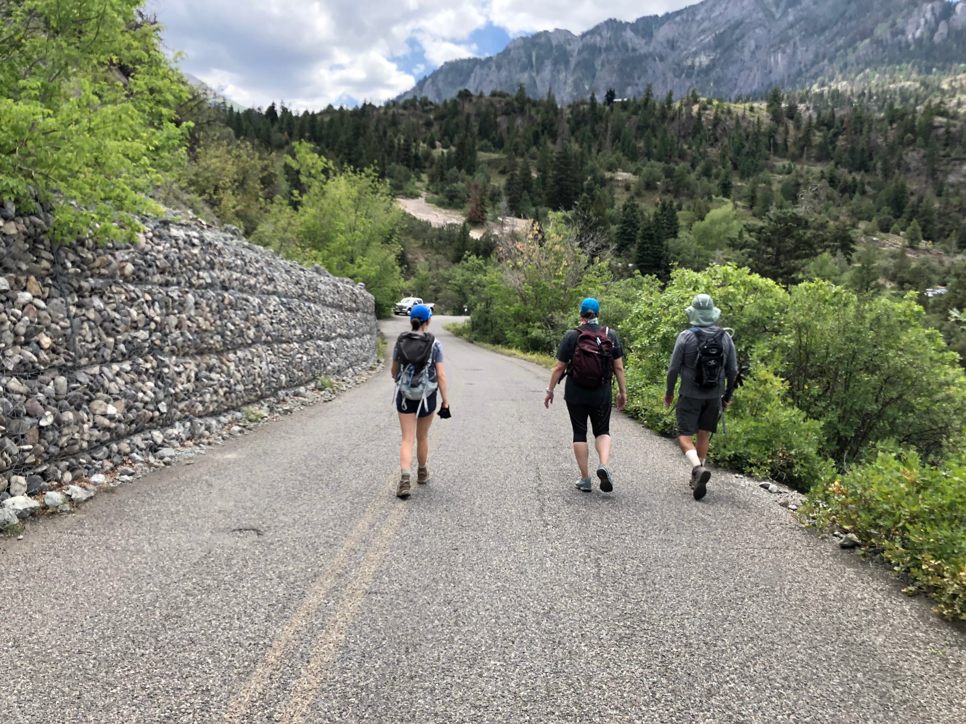 Family, Fun, Hiking, Curated, dogs, free shipping